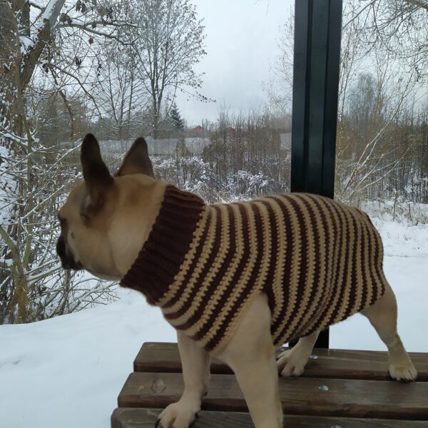 Сrochet sweater pattern for French Bulldog