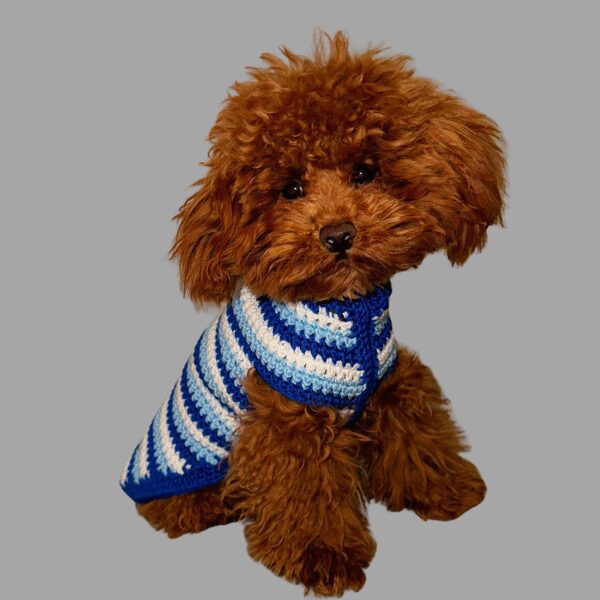 Crochet dog sweater patterns