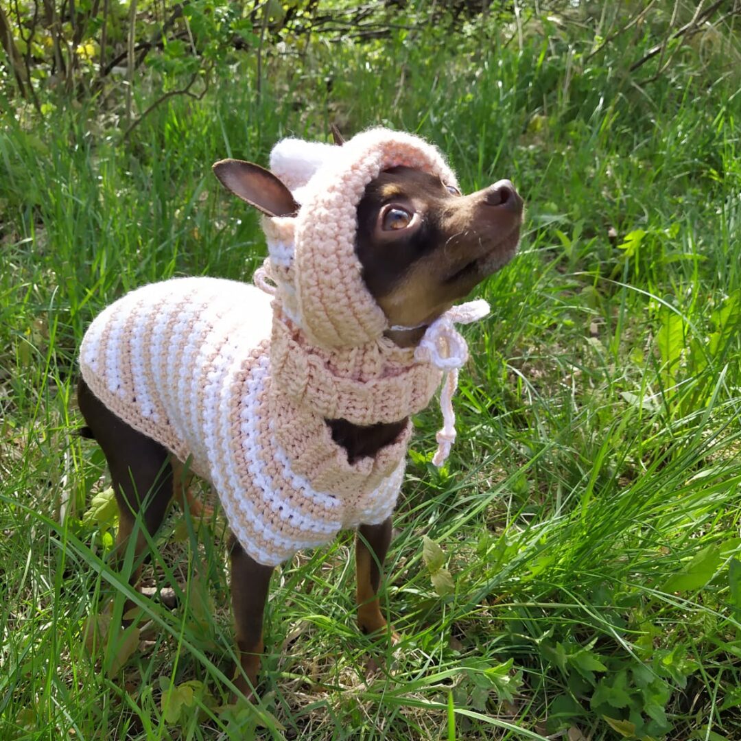 crochet_pattern_for_dog.jpg