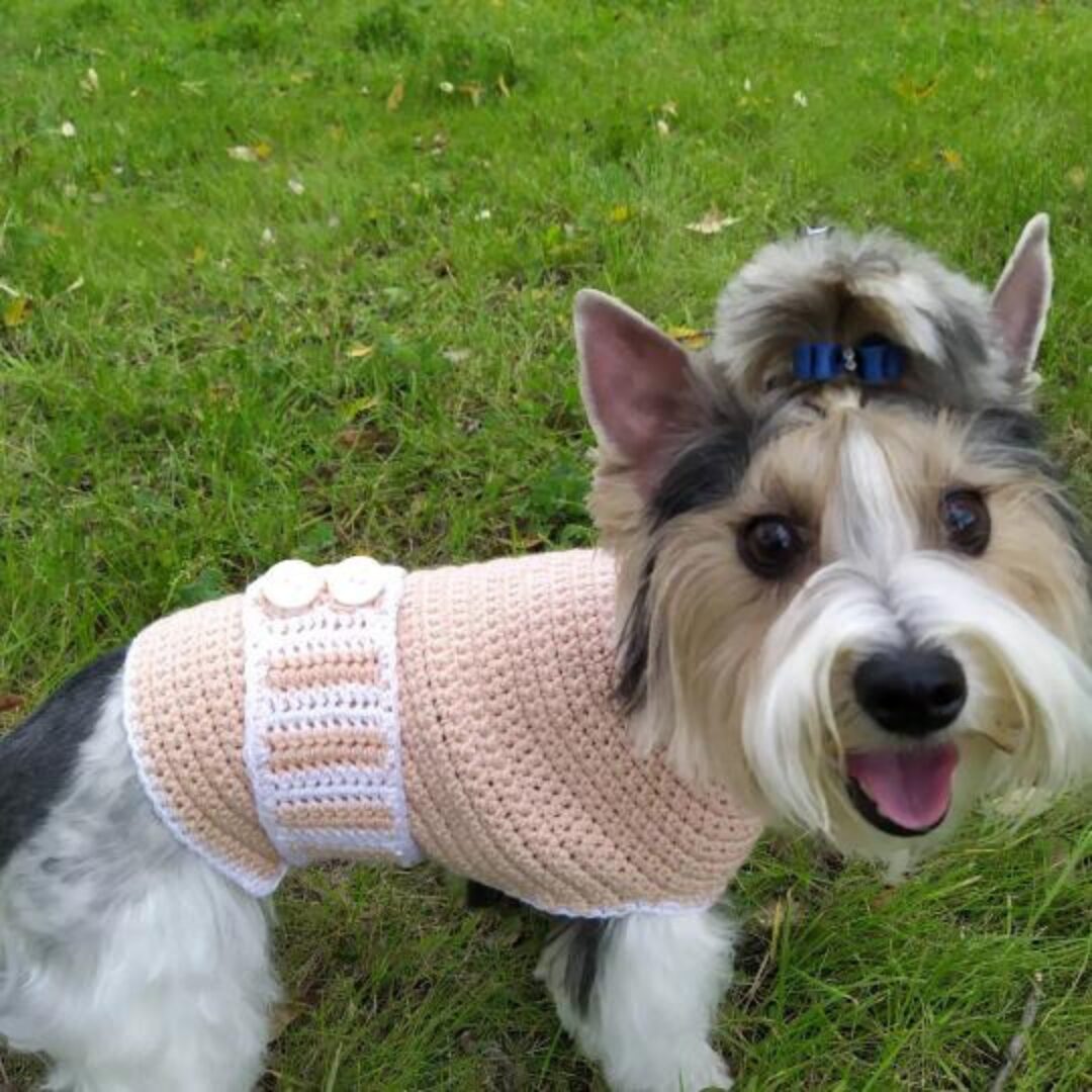 crochet_pattern_for_dog__1_.jpg