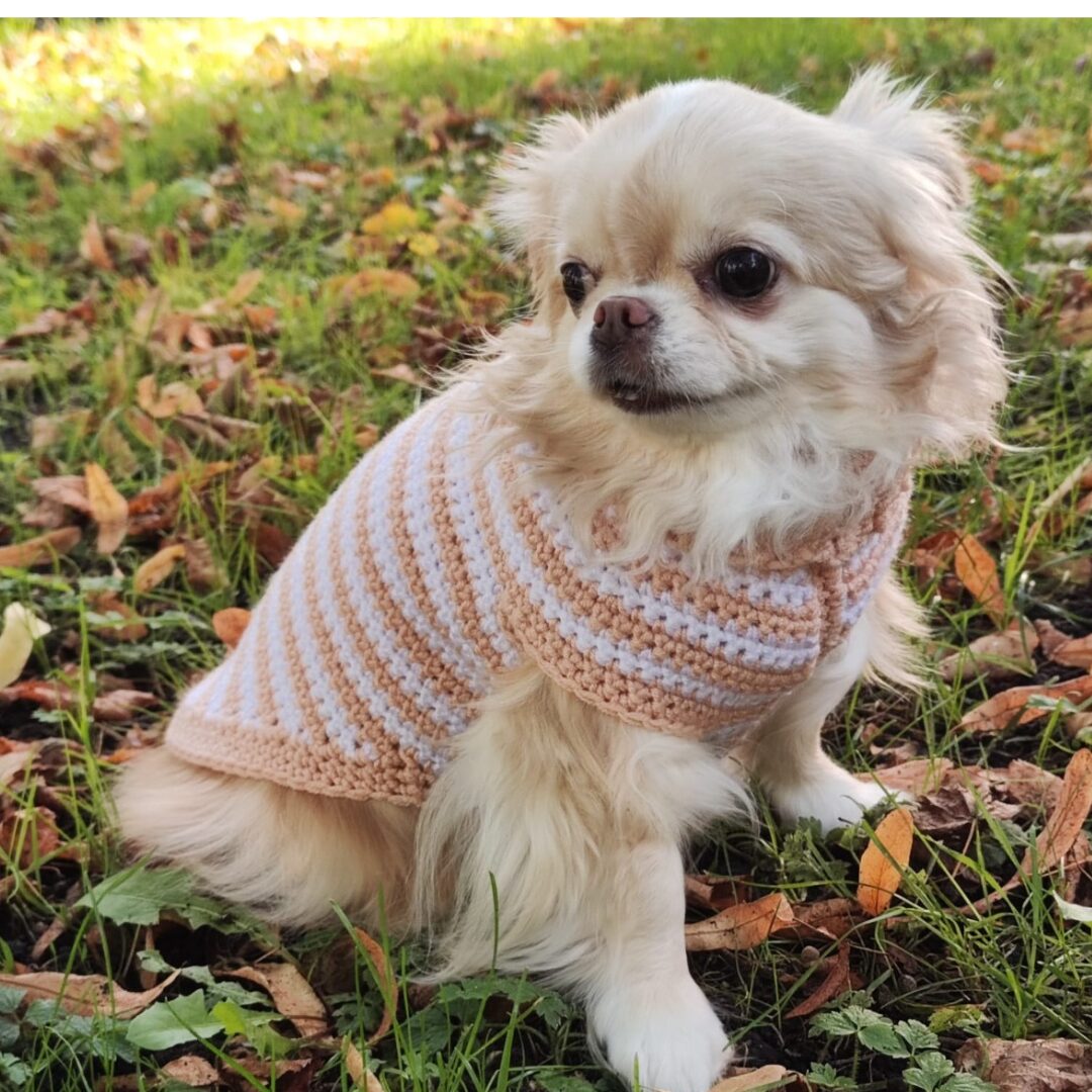 crochet_pattern_for_dog__2_.jpg